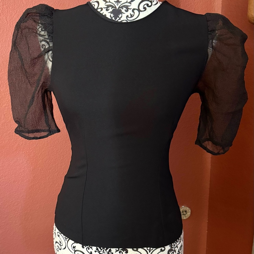 Elegant Zara Black Puff Sleeve Top